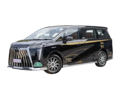 尊貴黑金 BigBoss Delux · 香港豪華6人車的士接送